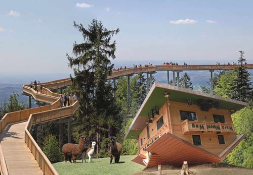 Im Hintergrund ist der Waldwipfelweg zu sehen. Im Vordergrund steht ein Haus auf dem Kopf.