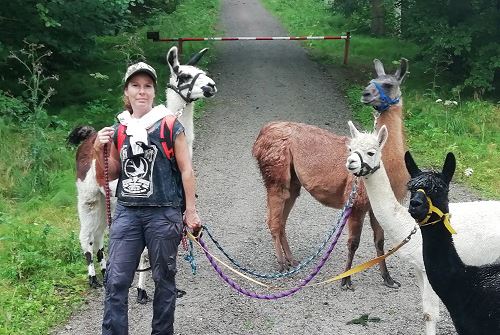 Wanderführerin Marion Kastl mit vier angeleinten Lamas und Alpakas